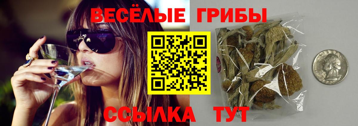Псилоцибиновые грибы прущие грибы  Вход с VPN  Ижевск 